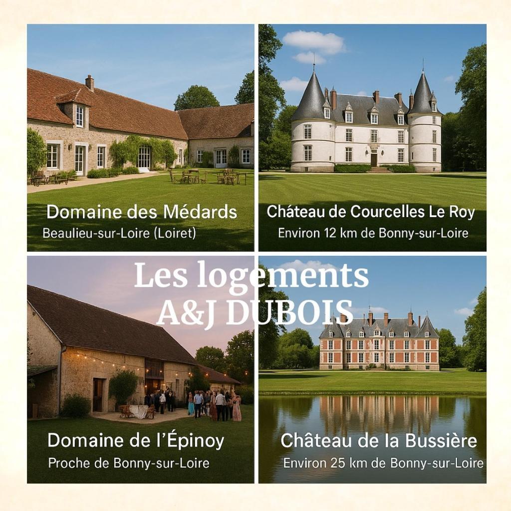 A&J Family - Neuvy Sur Loire - Guedelon Villa Eksteriør billede